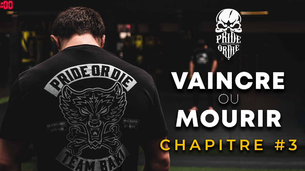 VAINCRE OU MOURIR Chapitre 3 PRiDEorDiE VAINCRE OU MOURIR Chapitre 3 PRiDEorDiE